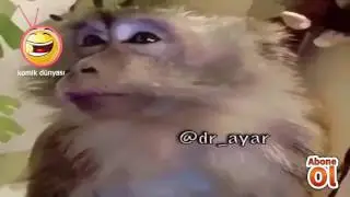 Çok komik bu video 😂😂😂
