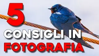5 Consigli sulla FOTOGRAFIA