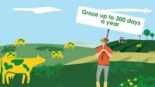 What Makes Dairygold Good-er? Our Happy Cows