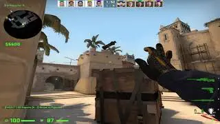 CS:GO POV NIP device (29/17) vs G2 (mirage) @ BLAST Premier Fall Groups 2021