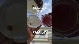 SUMMERTIME in🇧🇪 #friends #family #vacation #summer2024 #destination #travel #vlog #babyshower #fyp