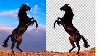 Как в фотошопе вырезать фон