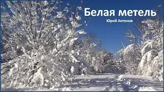 Зима придумала белую метель