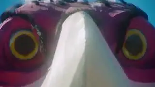 PeePee Vultures