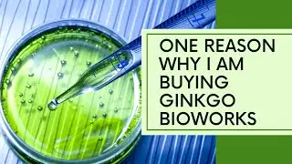 I found a reason to buy Ginkgo Bio - What do you guys think?