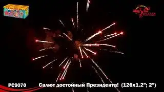 Салют достойный президента PC 9070 Залпов 126 / Калибр 1,2 и 2