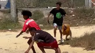 El leon 🦁  de tarzan 😂 | Broma