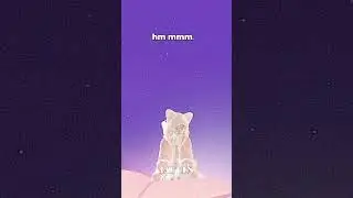 Untitled vidio