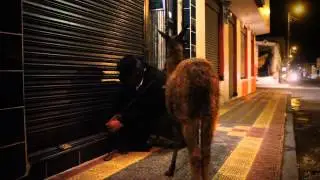 "Ñuka Llama" RUNA LLACTA