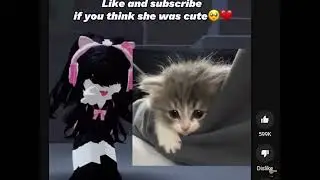 reasons why i hate “uwucutesingle”