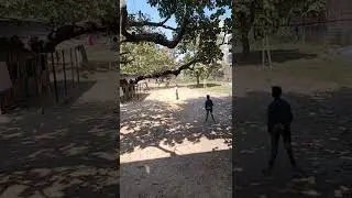Village Cricket On the Go