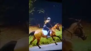 Расслабляющая музыка! #лошодь #relaxing  #shortvideo