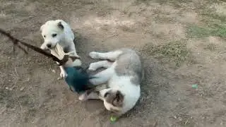 тренировка молодых бойцов
