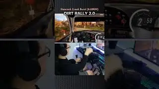 Dirt Rally 2.0 (PXN-V10 wheel).