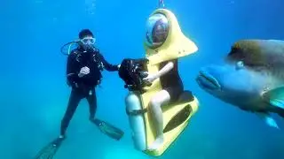 Great Barrier Reef Adventure