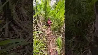 San Carlos Guam Hiking グアム　サンカルロス　ハイキング