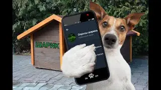 Первый новый сборник