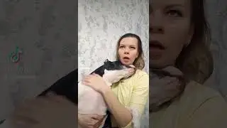 разговор по душам с 