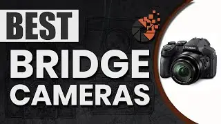 Best Bridge Cameras 📸: Top Options Reviewed | Digital Camera-HQ