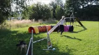 Agility trénink Málkov 18.8.2016