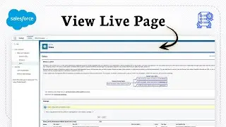 How to view your site in salesforce (Web Display Access)