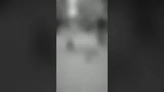Мы❤️ теннис