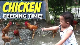 Cute Toddler Feeds Chickens for the First Time | Adorable and Funny Baby Video