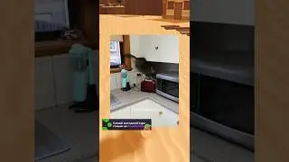 Спорим я заставлю тебя улыбнуться?😨 #shorts #roblox #superdan #роблокс