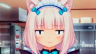 ПОХОТЛИВЫЙ ТЕСТОМЕС // Nekopara Vol.1 #11