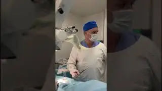 Micro-TESE в Клинике МАМА