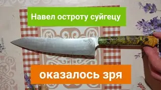 Навёл остроту кухоннику. Жена не оценила