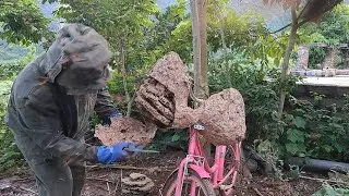 Change house for wasps🥰 | Tropical Forest Bees #bees  #honey
