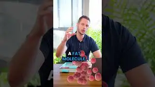 Keto from a Scientific Perspective: Debunking Myths and Exploring Benefits 