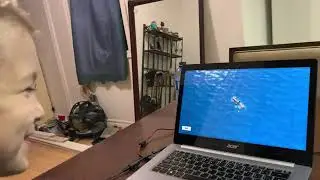 Fortnite - Floating on a log
