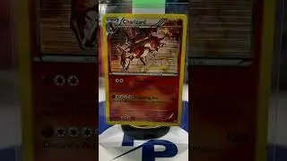 Charizard is Beautiful