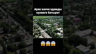 Шейх Чубак ажы: арак канча адамды күнөөгө батыраарын айтты