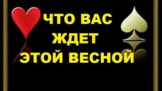 Что вас ждет этой весной таро