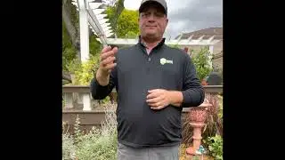 Things to know about your lawn … and Emerald Lawn Care!