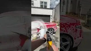 squeaky clean 🧼