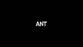 Ant |Free Overlay Intro| 2D