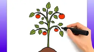 Cómo Dibujar Una Planta De Tomate (Tutorial De Dibujo Fácil)