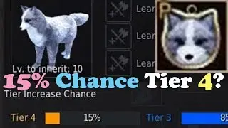 BDO - 15% Chance for a Tier 4 Arctic Fox Pet?