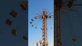 ургенч янги йил арчаси