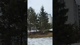 готовимся к майскому забегу