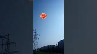 ГОНКА СПОРТИВНЫХ ГОЛУБЕЙ НА 100 КМ.МТНСК.БЕЛАРУСЬ.