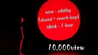 nova - whitley (slowed + reverb loop) tiktok - 1 hour