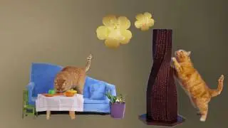 Fancy Cat Furniture