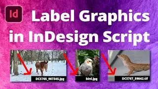 Automatically Generate Image Captions & Labels • InDesign Script
