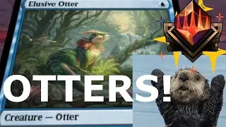 Cute Otters Dominate Standard
