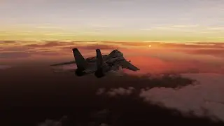 Tomcat